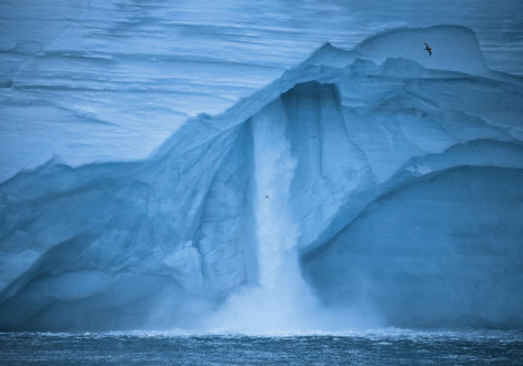 Ice caps are melting in the Arctic.