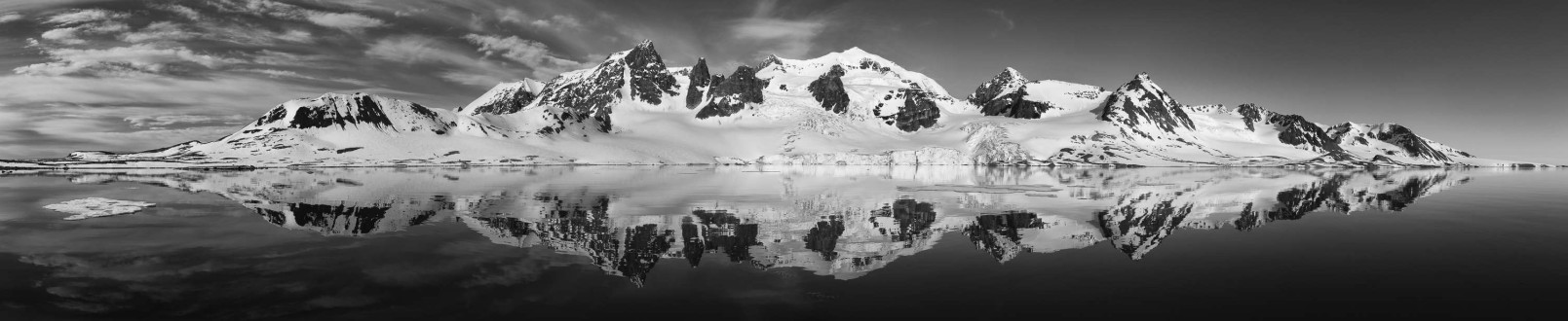 Sea ice, harbour seals at Prins Karl Forsland, Shaun's on assignment cards, and other Svalbard wildlife.
Walrus at Poollepynten (pool point)..... very relaxed and good underwater opportunity. It is a common haul out site.