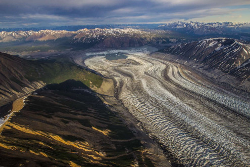 Aerials over the North Slope of Alaska of the Porcupine Caribou herd.