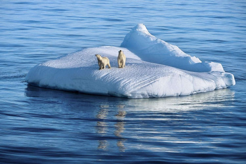 A mother polar bear and her two-year-old cub stranded on a small iceberg in Hudson Strait, Nunavut, Canada.