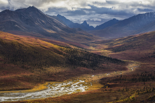 Polar Bears and etc in Svalbard