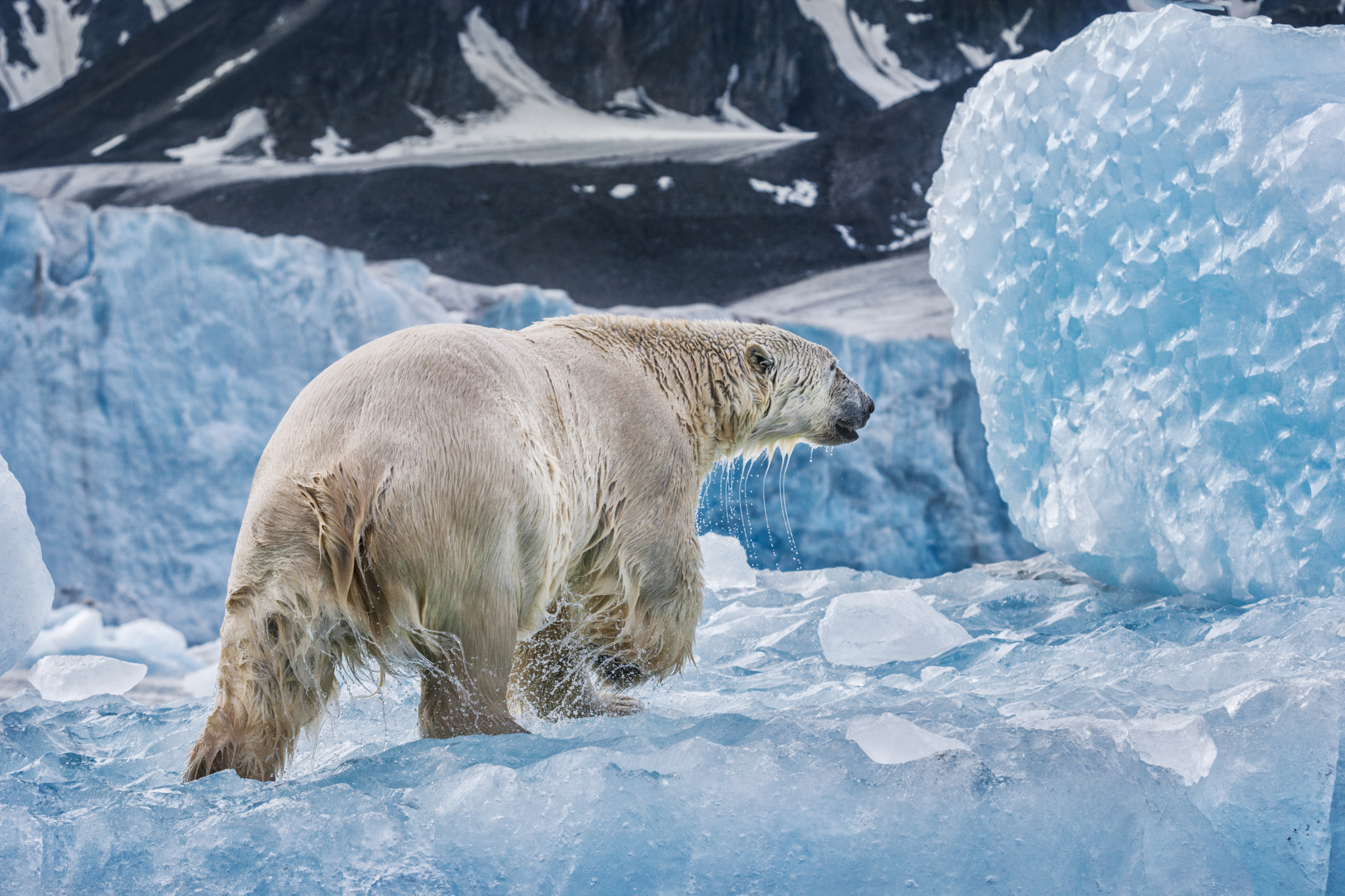 On Ancient Ice