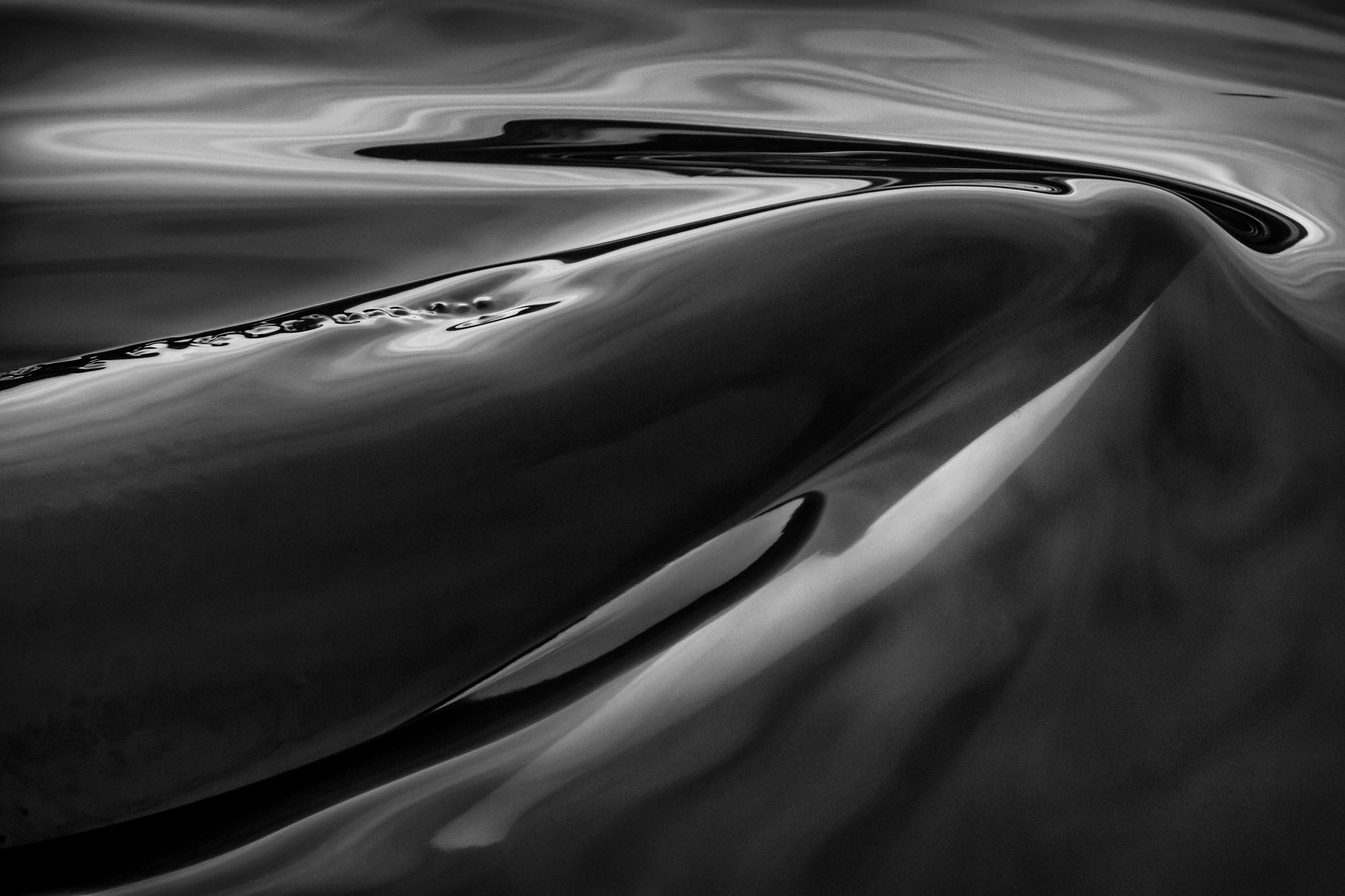 Killer Tension - Paul Nicklen