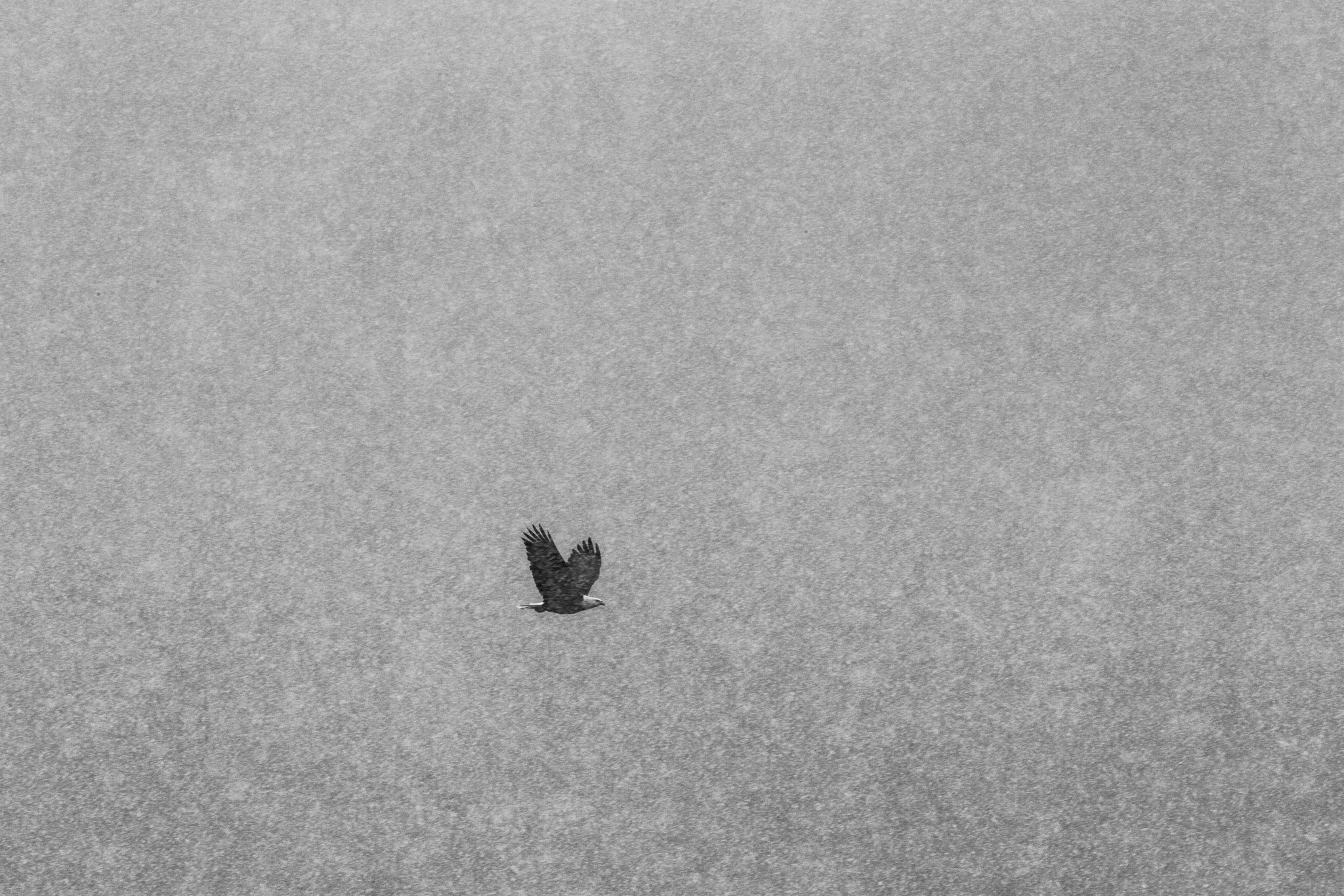 North of Unknown