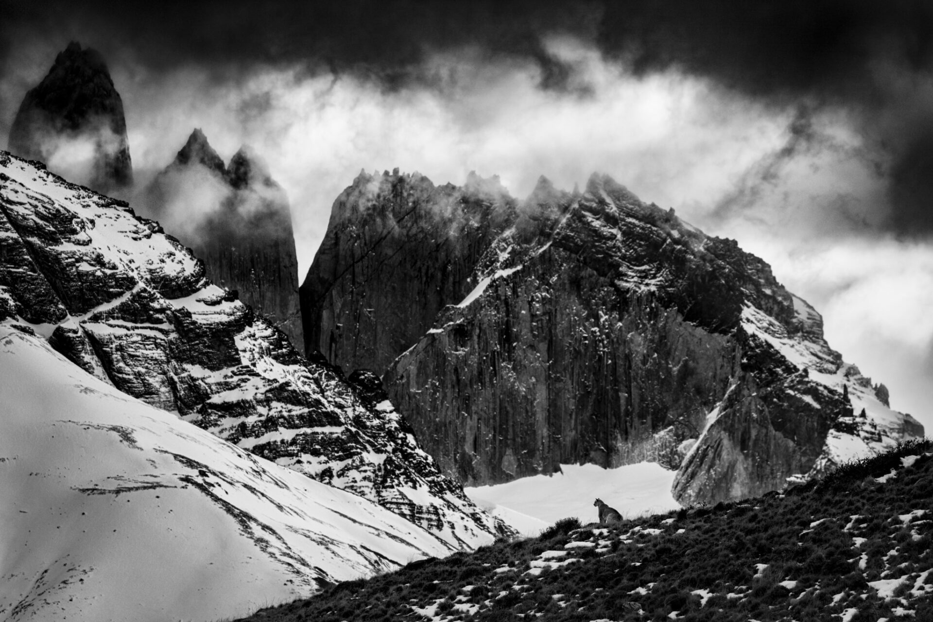 All – Paul Nicklen